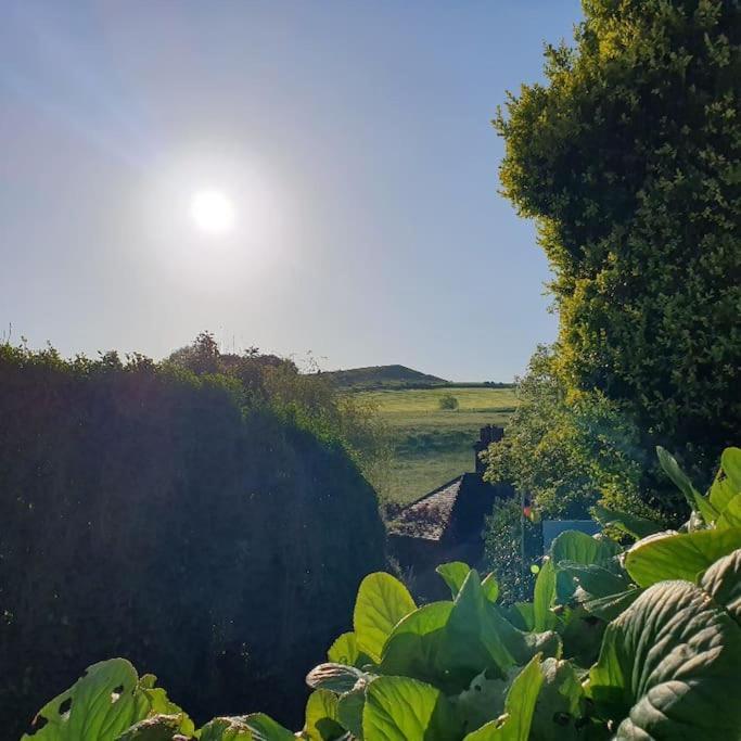 Priory Cottage Westbury  Buitenkant foto